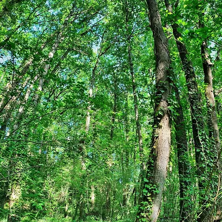 L'ostalas Lafrançaise