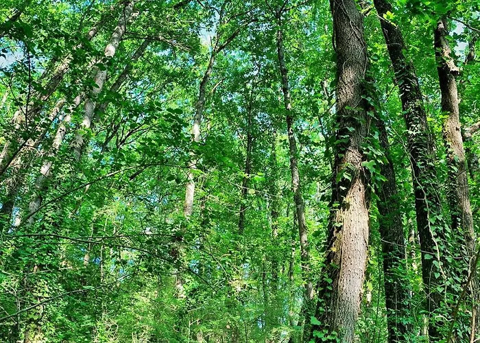 L'ostalas Lafrançaise